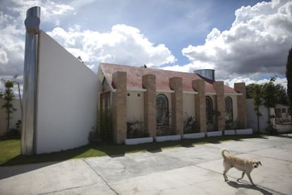 Un perro camina cerca de la supuesta tumba de Heriberto Lazcano Lazcano, en Tezontle.