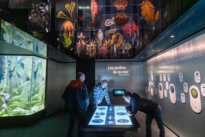 Instalación del museo La Cité de la Mer en Cherburgo (Francia).
