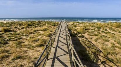 La platja de l'Auir, a Gandia.