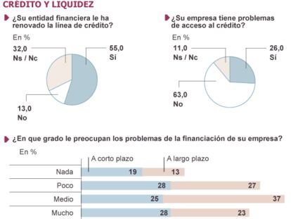 Fuente: Deloitte (Barómetro de empresas, consulta julio de 2013).