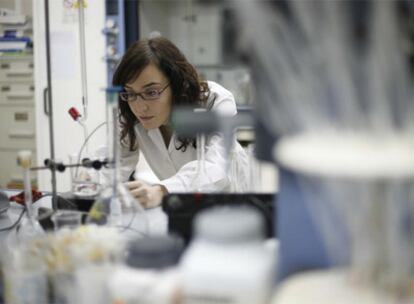 Una investigadora trabaja en un laboratorio de la Universidad del País Vasco.