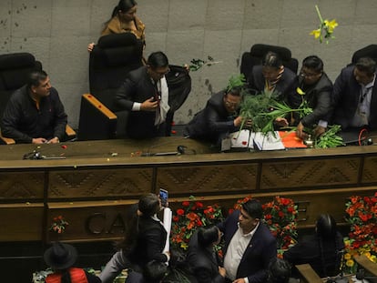 Parlamentarios lanzan tomates y plantas durante una sesión en la Asamblea Legislativa, en La Paz, Bolivia