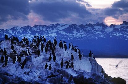 El cabo de Hornos es el punto más meridional de América. Este lugar privilegiado marca el límite norte del paso de Drake, que separa América de la Antártida. Uno de los sitios más emblemáticos para los navegantes con alma de piratas. Escollos, bajíos, vientos huracanados, lluvias y nieve durante casi todo el año, junto con una espesa bruma que aparece cuando las tempestades amainan.