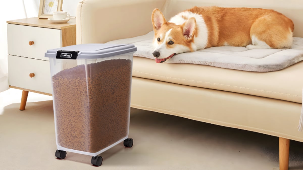 Adiós al olor a pienso en la cocina: el contenedor con ruedas que mantiene la comida de tu mascota fresca por meses