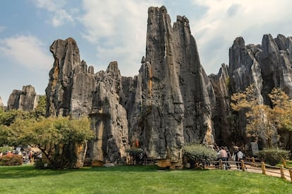 The Shilin Karst l stone forest, in Yunnan.