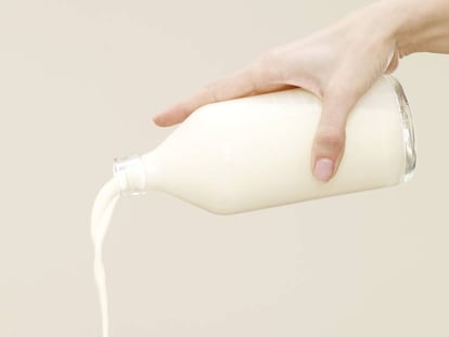 Lácteos: ni tres al día como norma general, ni los quesos cuentan