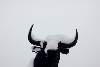 La nieve tapa parte de la escultura de un toro en el exterior de la plaza de Ronda, en Málaga (España), el 19 de enero de 2017.