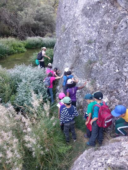 En los paseos por el campo se les puede proponer retos como conseguir distintas gamas de verde, o crear una maqueta del el entorno usando palos, piedras y hojas.