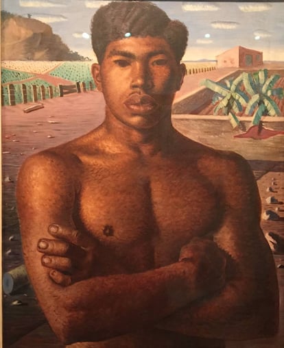 a pintura "Mestiço" de Cândido Portinari representa a mistura de raças.