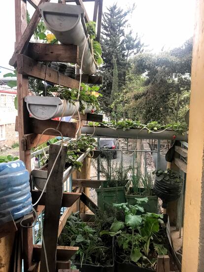 Gerald Kimiya es propietario de un negocio y cultiva vegetales en el balcón de su apartamento en Nairobi, Kenia.