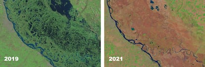 Imágenes satelitales que muestran el avance de la sequía en una comparativa entre 2019 y la actualidad. El pronóstico no es alentador: el Instituto Nacional del Agua prevé que la sequía empeorará de aquí a septiembre.