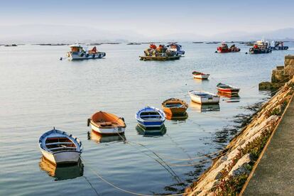 Embarcaciones y, al fondo, bateas de mejillones en Vilanova de Arousa (Pontevedra).