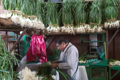 La mayor parte del recinto está dedicado exclusivamente al mayoreo y se compra por cajas, toneladas o cosechas enteras. Muchos puestos están especializados en la comercialización de un único producto. En la foto, un vendedor de cebollas tiernas. 
