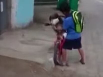 Un niño le pone a su perro una mascarilla para protegerlo de la covid-19