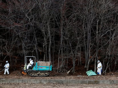 Grupo de operários trabalha na descontaminação em um bosque nos arredores da central de Fukushima (Japão) em fevereiro de 2015.