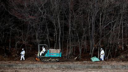 Grupo de operários trabalha na descontaminação em um bosque nos arredores da central de Fukushima (Japão) em fevereiro de 2015.