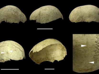 Cráneos copa encontrados en la cueva de El Mirador, en Atapuerca, con marcas de manipulación