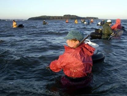 Mariscadores en los Lombos do Ulla, en la R&iacute;a de Arousa en 2010, con la Illa Cortegada al fondo.