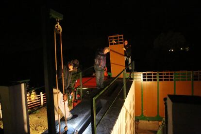 Las reses del hierro gaditano fueron trasladadas hasta la plaza de toros de las Ventas para la Feria de San Isidro, donde fueron lidiadas el pasado viernes.