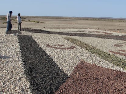 Hay entre 7 y 10 millones de minas que rodean el muro en territorios liberados.