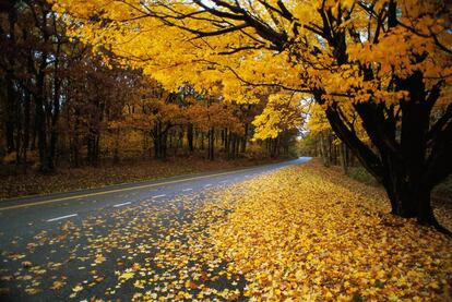Una de las carreteras que permiten recorrer los paisajes del parque Nacional de Shenandoah, en Virginia.