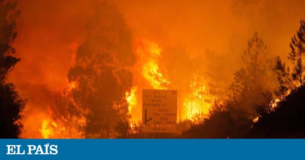 Más de 60 muertos y 62 heridos en un incendio forestal en Portugal ...