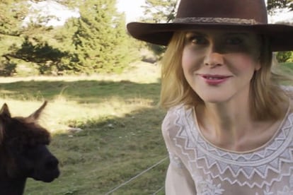 Nicole Kidman.

Hasta seis alpacas tienen en su mansión australiana la ganadora del Oscar y su pareja, el cantante country Keith Urban. “Son preciosas y las puedes pasear con una cuerda”, aseguró la actriz en una entrevista en el programa de Conan O’Brien.