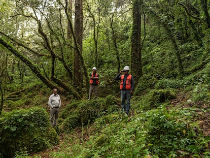 Habitantes de la comunidad Santa María Jaltianguis (Oaxaca), en el área protegida de su bosque, el 29 de octubre de 2022.