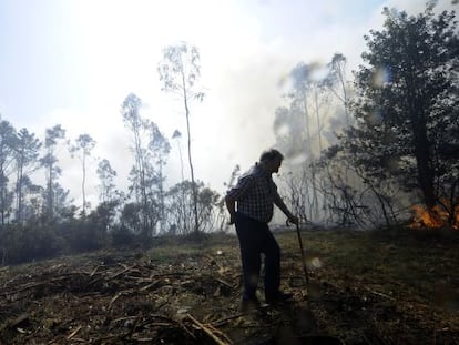 Un hombre camina en la localidad de A Capella, cerca del incendio