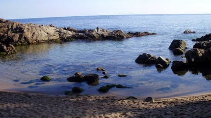 Cala Estreta está situada a 8 km al norte de Palamós (Girona). Este rincón virgen está protegido por un pinar y escollos ideales para el buceo.