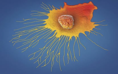 Recreación de una célula tumoral de un cáncer de mama.
