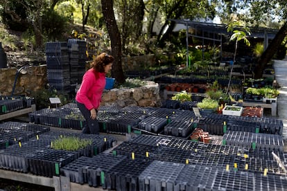 Jardín botánico El Castillejo, en la localidad gaditana de El Bosque