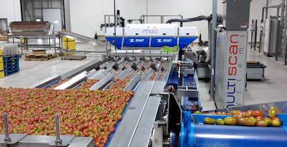 Máquinas que emplea la empresa Multiscan Technologies para el control de productos agroalimentarios como la nuez o el tomate.