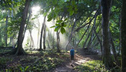 Un senderista camina por la selva de Costa Rica. 