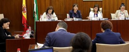 Elena Cortés, segunda por la izquierda, en la comisión de Fomento del Parlamento celebrada este jueves.