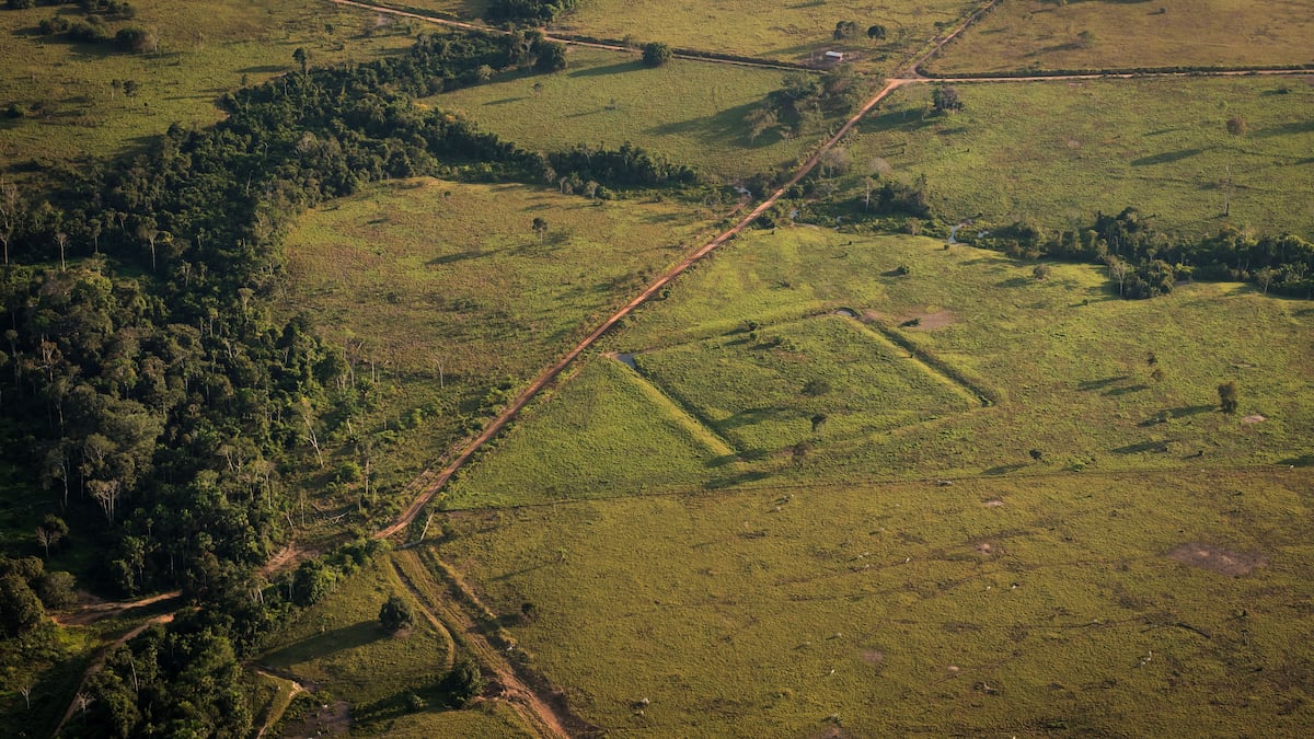 Más de 10.000 sitios arqueológicos precolombinos permanecen inexplorados en  la selva amazónica | Ciencia | EL PAÍS