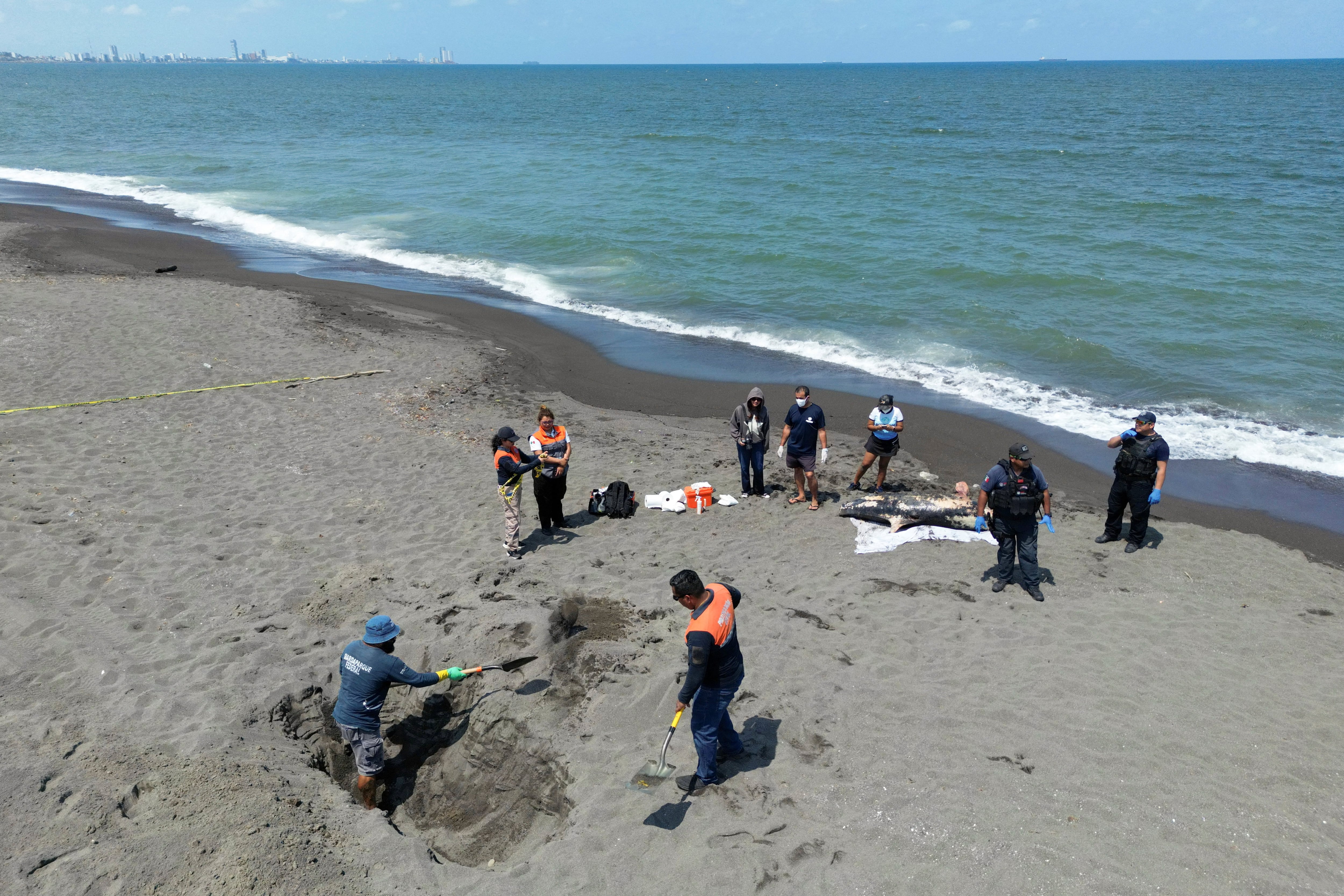 Día a día del derrame de petróleo en el Golfo de México: cronología de una emergencia ambiental ocultada por Pemex