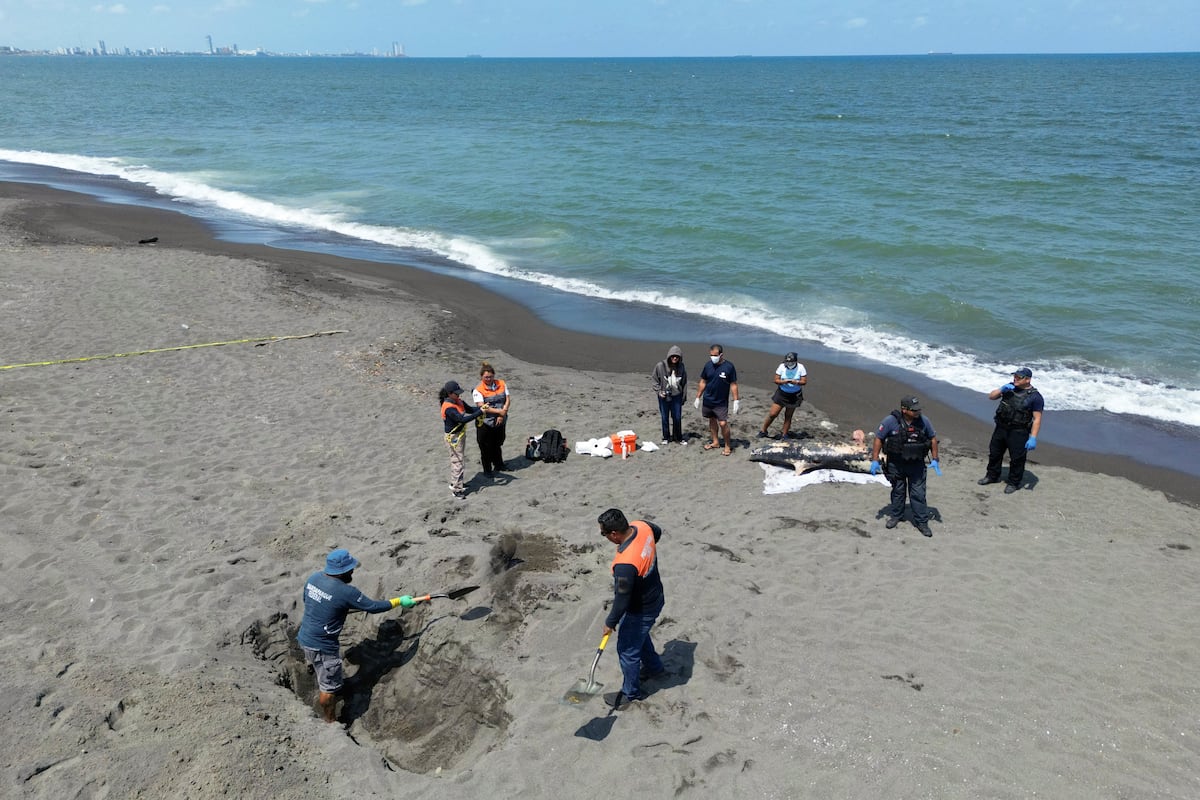 Day by day of the oil spill in the Gulf of Mexico: chronology of an environmental emergency hidden by Pemex