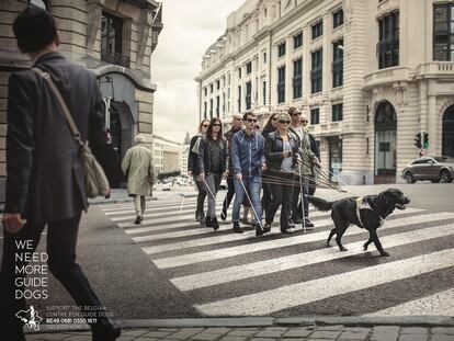 Belgian Centre for Guide Dogs