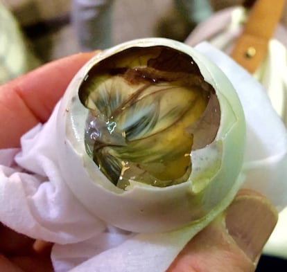 BALUT / CAPEL 