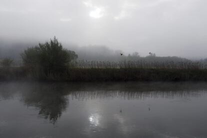 La niebla matutina cubre la orilla del río Werra, cerca de Blickershausen (Alemania).