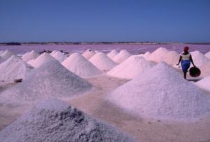 Montículos de sal secándose al sol en la orilla del Lago Rosa, en Senegal.