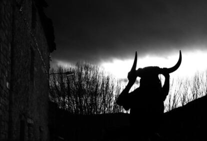 A Luzón ‘devil’ silhouetted against the winter sky.