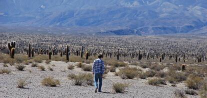 Un joven recorre un paisaje protegido en Argentina.