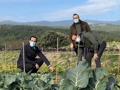 Los hermanos Sandoval, en la huerta de El Jaral de la Mira, en El Escorial (Madrid).