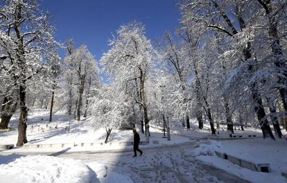 Un hombre camina en un parque nevado de Sarajevo (Bosnia y Herzegovina).