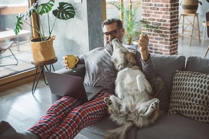 Un hombre en pijama descansa en casa con su ordenador y su perro.