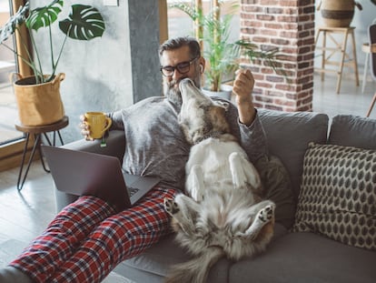 Un hombre en pijama descansa en casa con su ordenador y su perro.