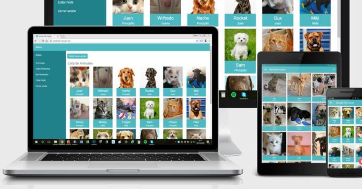 Perro Internet Random Conocí a mi perro por Internet | Talento Digital | EL PAÍS