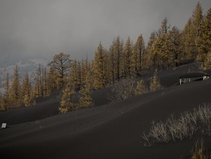 Una construcción cubierta de ceniza en la zona de exclusión del volcán de La Palma